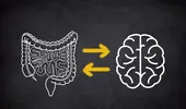 Legătura surprinzătoare dintre ADHD și problemele digestive. Studiul uriaș pe 1,9 milioane de oameni