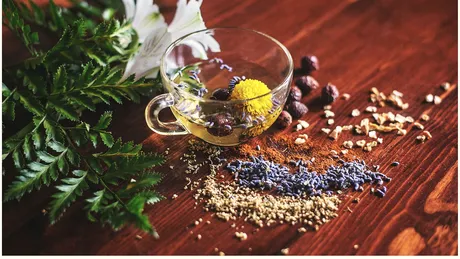 Obosit după o noapte nedormită? Aceste 7 plante pot fi aliatul tău natural