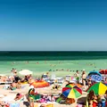 Stațiunea de pe litoralul românesc, acoperită de alge la începutul sezonului estival. Turiștii reclamă mirosul neplăcut, iar specialiștii explică fenomenul