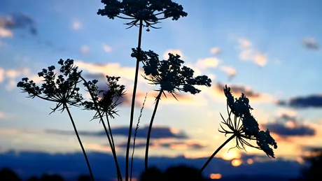 Echinocțiul de toamnă 2025. Momentul astronomic ce marchează intrarea oficială în sezonul rece