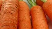 Secretul morcovilor intregi