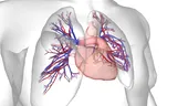 Hipertensiunea arterială pulmonară: o boală rară, complexă și deseori neînțeleasă