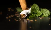 Când vor fi dispărea din comerţ ţigările cu arome şi cele mentolate