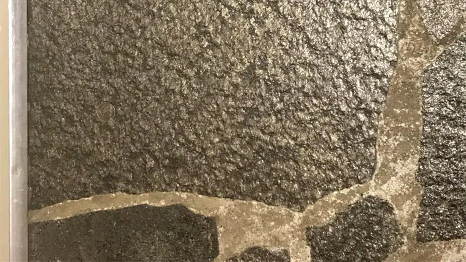 Iluzie optică virală | Găsiți moneda ascunsă în această imagine!