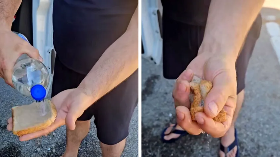 Din ce este făcută pâinea feliată din Franța, de fapt. Un român a dezvăluit totul: 