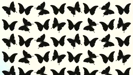 Iluzie optică virală | Găsiți fluturele diferit de ceilalți, în maximum 5 secunde!