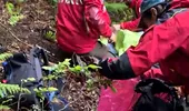 Băiețelul de 5 ani din Sibiu, dispărut de două zile, a fost găsit în viață: „L-am luat și l-am scos într-o lizieră”