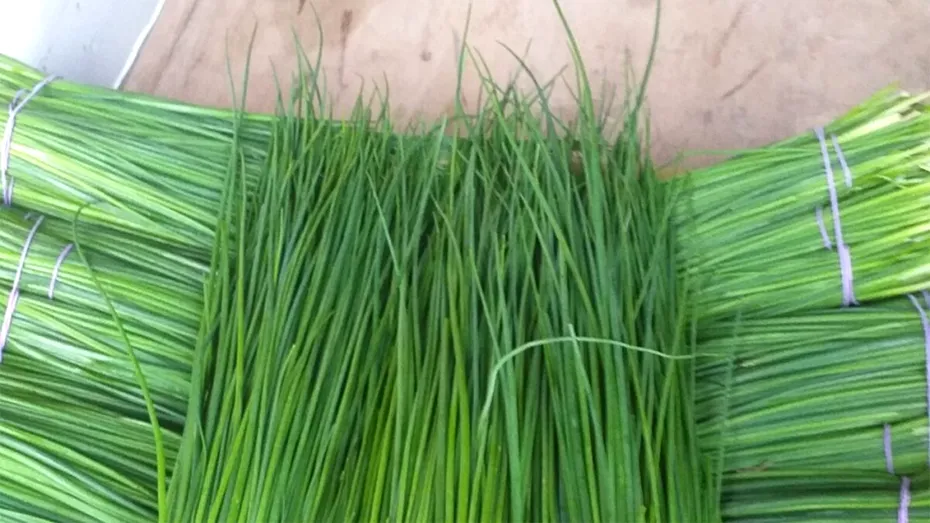 Cum să gătești arpagicul, ca să te ferească de AVC și de osteoporoză