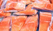 Avertismentul cercetătorilor: peștele ambalat în plastic poate absorbi substanțe chimice nedorite. Ce arată un studiu recent