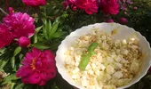 Salata verii Bergera – răcoroasă și sățioasă. Rețetă din Italia
