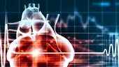 Inima - Ce fac autorităţile pentru sănătatea inimii românilor?