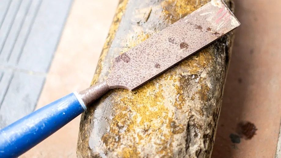 Aliatul minune împotriva ruginii. Trucuri simple pentru a curăța uneltele de grădină fără costuri mari