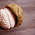 Prof. Vlad Ciurea dezvăluie alimentele care ajută creierul să funcționeze mai bine. „Beți apă. Creierul este 78% apă”
