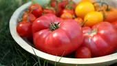Cum poți păstra roșiile întregi, fără să le transformi în bulion sau suc? Metoda italienilor pentru o conservare corectă