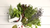 Ierburi care curăță plămânii și calmează tusea. Remedii naturale eficiente