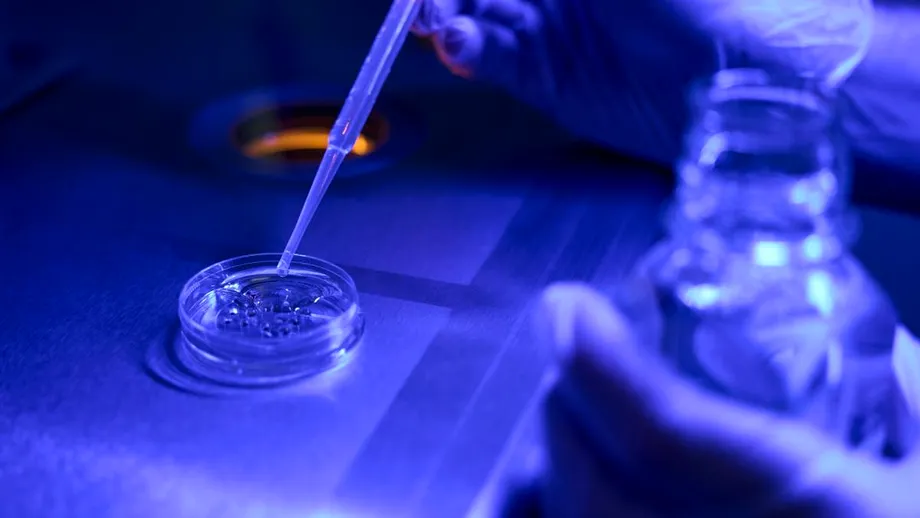 Sute de pacienți, disperați după blocarea Programului FIV. În 2024, în România s-au născut doar 149 612 copii, fiind cel mai mic număr de copii născuți de când se fac măsurători demografice în țara noastră