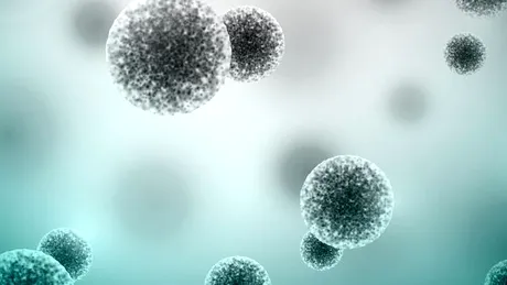 10 lucruri importante despre bacteriile sănătoase