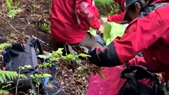 Băiețelul de 5 ani din Sibiu, dispărut de două zile, a fost găsit în viață: „L-am luat și l-am scos într-o lizieră”
