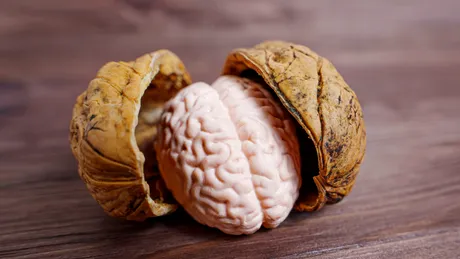 Alimentația pentru sănătatea creierului. 6 diete care reduc riscul de demență