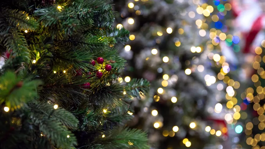 Cât a ajuns să coste un brad artificial anul acesta? Prețurile din magazine îi surprind pe cumpărători
