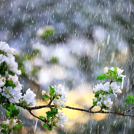 Cum va fi vremea în minivacanţa de 1 Mai. Meteorologii anunță frig și ploi în majoritatea zonelor