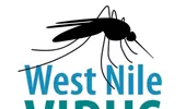 West Nile, boala transmisă de țânțari: simptome, diagnostic și tratament