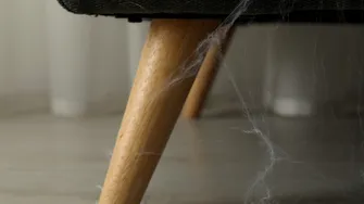 Spune adio pânzelor de păianjen din casă! Soluția naturală pe care trebuie să o încerci