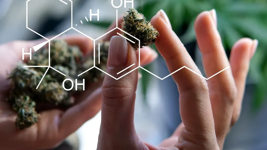 Legătura dintre consumul de marijuana şi bolile cardiovasculare