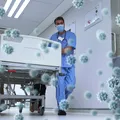 „Long-Hantavirus”? Cercetătorii analizează efectele pe termen lung ale infecției, după modelul Long Covid