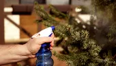 Cu ce trebuie să stropeşti bradul natural înainte să-l împodobeşti. Un truc util pentru un Crăciun fără ace căzute