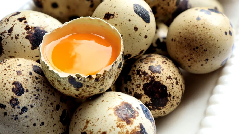 Ouăle în dietă: Cum alegi variantele cele mai nutritive?