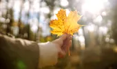Astenia de toamnă. Cum să combați oboseala și stările de tristețe