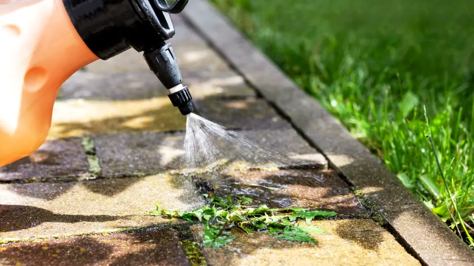 Scapă de buruieni rapid și natural cu doar 4 ingrediente