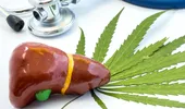 Marijuana, tratament pentru ficatul gras? Rezultatele unui studiu recent