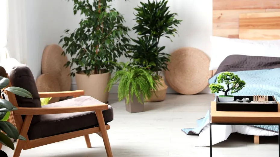 Lucrurile pe care să NU le ții în casă, pentru a avea noroc la bani în august, conform Feng Shui