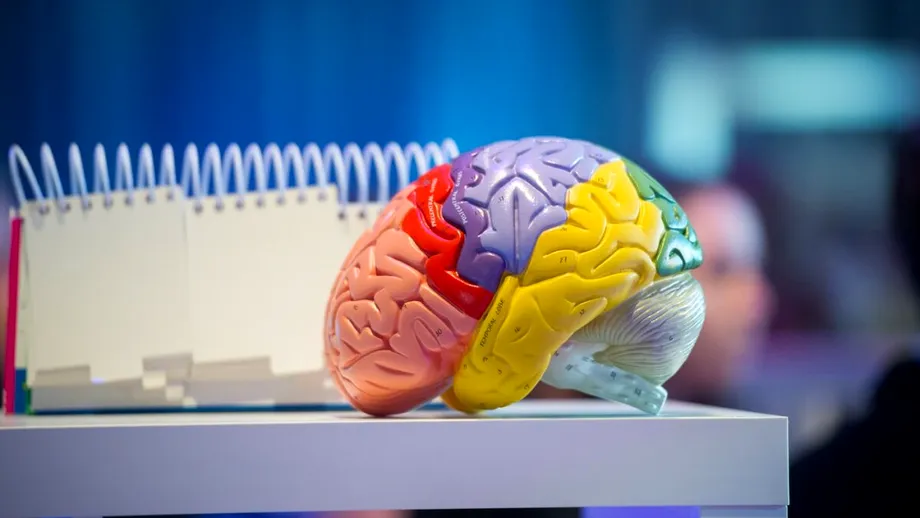 Ajutorul oferit altora încetinește îmbătrânirea creierului, spun experții! De ce e bine să faci voluntariat