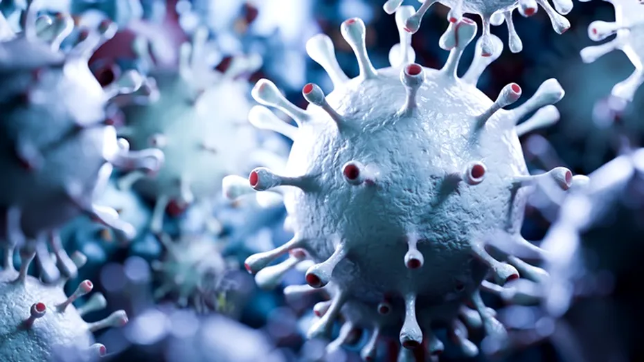 Virusul mortal fără leac și fără vaccin care pune lumea în alertă. Ce este virusul Nipah și de ce e periculos?