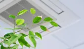 Aerul condiționat de la birou îți poate afecta sănătatea? Semnele care ar putea indica o problemă ascunsă