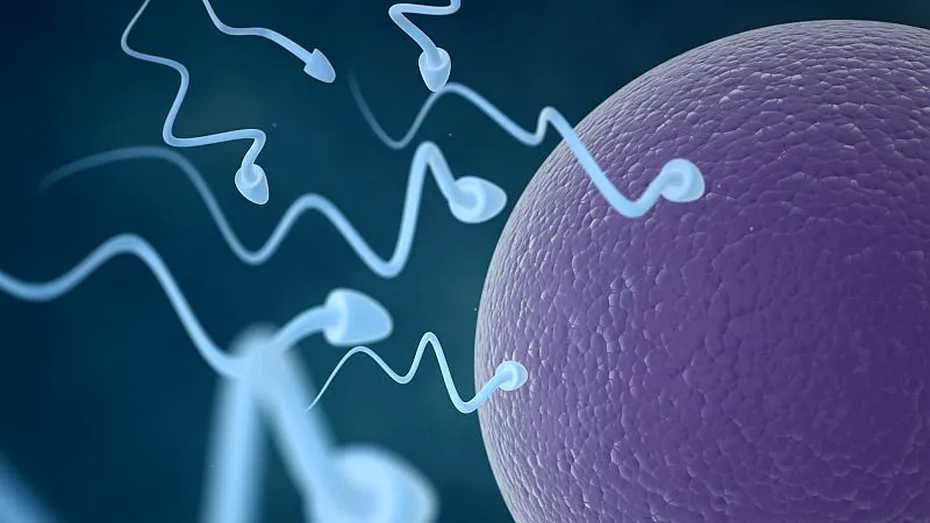 Bolnavii de cancer şi-ar putea păstra fertilitatea cu ajutorul unei proceduri controversate