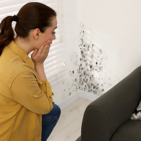 Cum să cureți mucegaiul de pe perete în mai puțin de 10 minute. Nu trebuie să zugrăvești