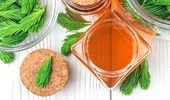 Sirop din muguri de brad, elixirul longevității. Rețetă din 3 ingrediente și beneficii