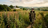 De unde provine expresia „Treci ca Vodă prin lobodă”? E una dintre cele mai cunoscute vorbe românești