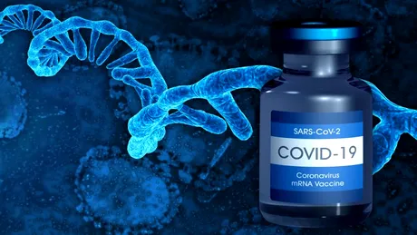 10 întrebări și răspunsuri despre vaccinul anti-COVID ARN mesager: siguranță, reacții adverse, eficacitate