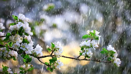 Cum va fi vremea în minivacanţa de 1 Mai. Meteorologii anunță frig și ploi în majoritatea zonelor