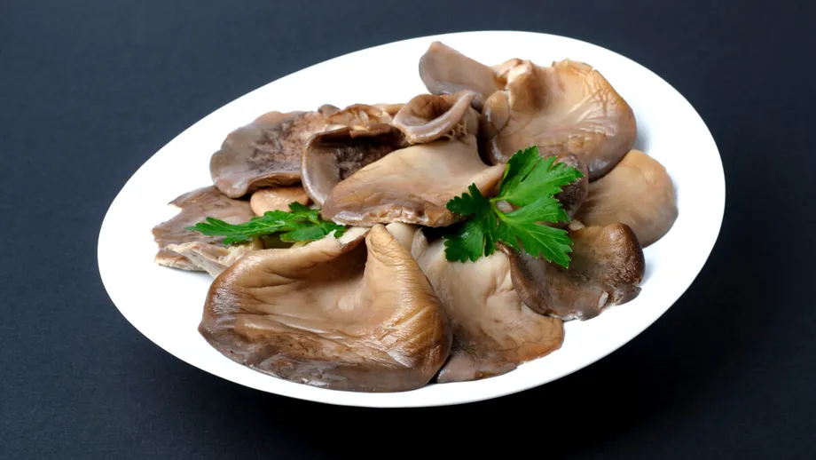 Ciuperci pleurotus murate pentru iarnă. Rețeta simplă și gustoasă