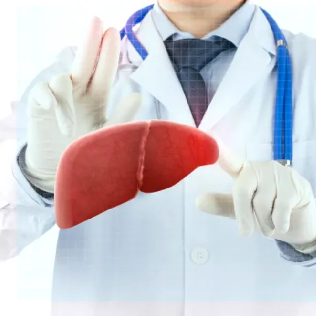 Ficatul gras: boala care poate evolua ani întregi fără simptome. Ce semnale transmite organismul și cum putem preveni complicațiile?