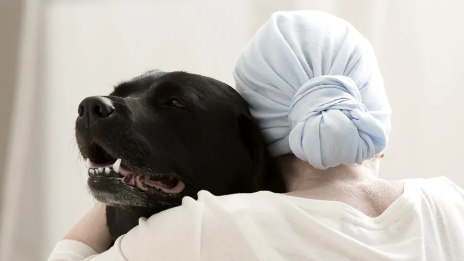 5 semne care anunță cancerul la câini. Cum îți dai seama că patrupedul este bolnav