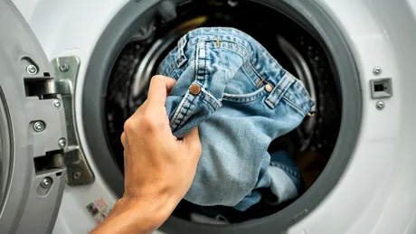 Cum redai culoarea hainelor decolorate. Soluția naturală cu foi de dafin