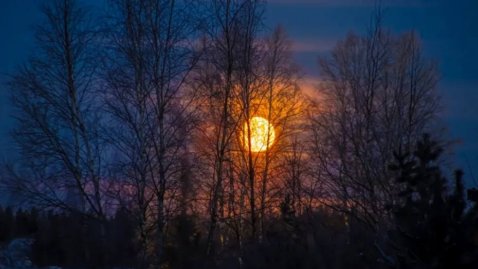 Ultima Lună Plină a anului luminează cerul pe 4 decembrie. Ce semnifică „Luna Rece”, un spectacol astronomic rar