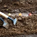 Secretul bunicilor pentru un pământ mai fertil după ce ai cultivat ceapă. 5 soluții naturale